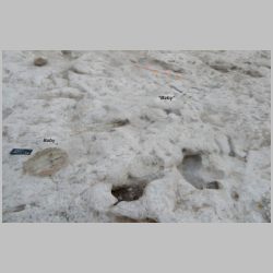 DSCN0647cr Two babies.jpg